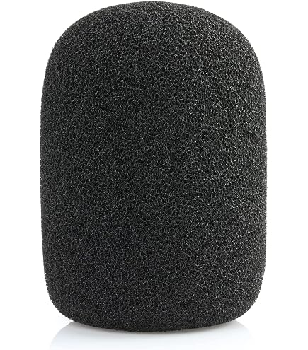 Electro-Voice® Mikrofon RE20 : Amazon.sg: Musical Instruments